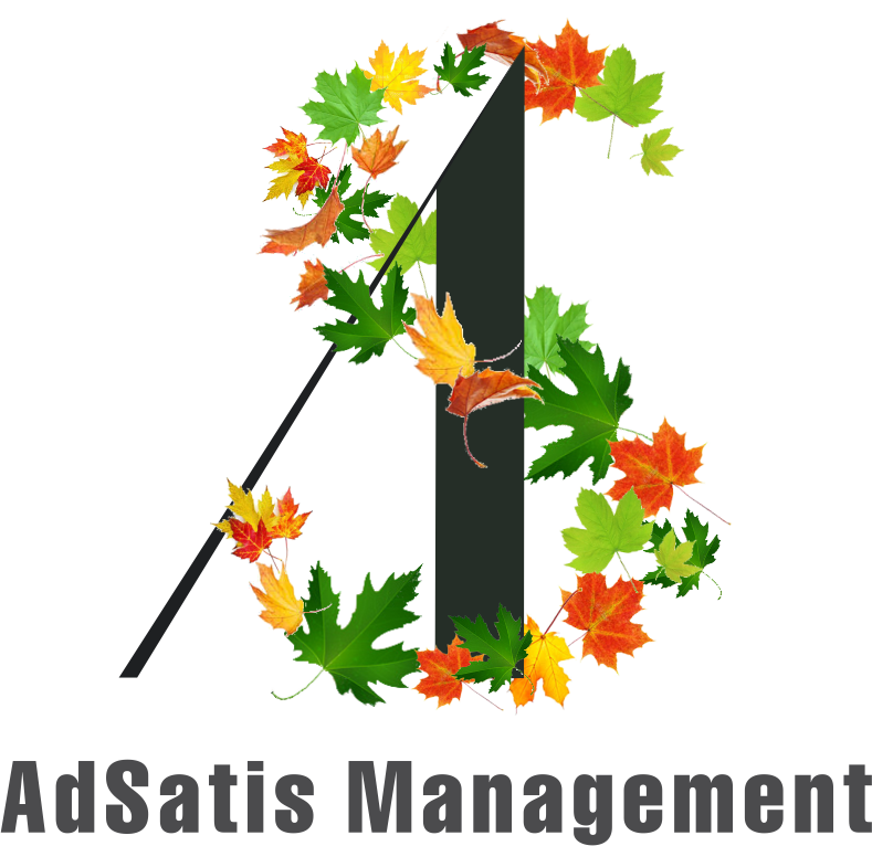 AdSatis Management